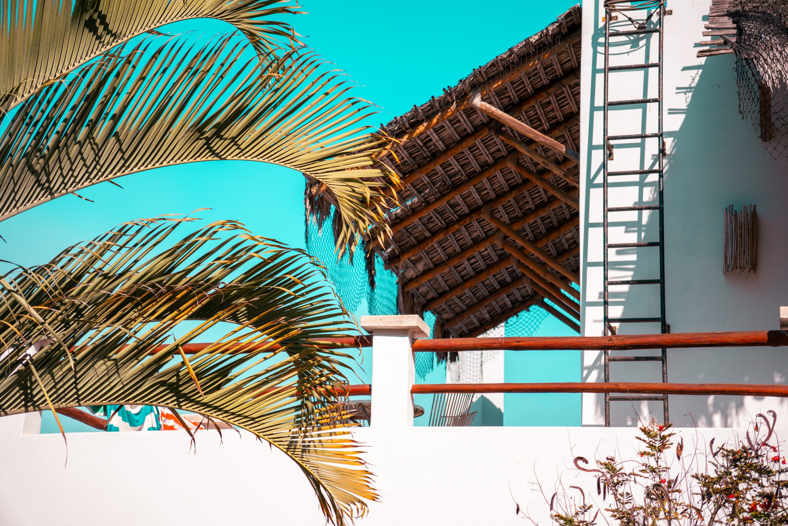 Palm fronds and coastal architecture in Baja